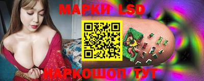 индика Кингисепп