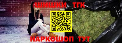 индика Кингисепп