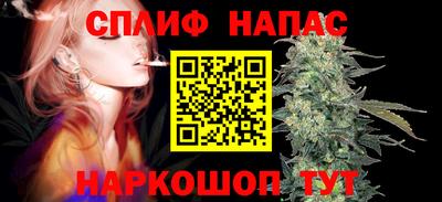индика Кингисепп