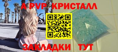 индика Кингисепп
