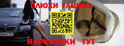 индика Кингисепп