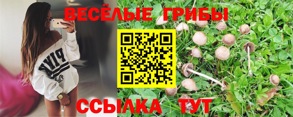 Галлюциногенные грибы прущие грибы Канаш