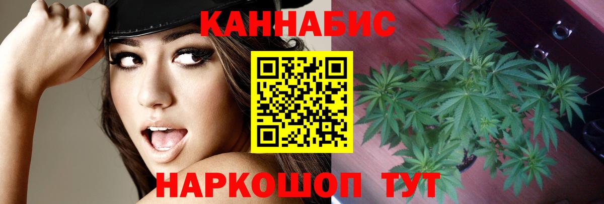 Канабис AK-47  Вход с VPN  Канаш  Шишки марихуана MAZAR 